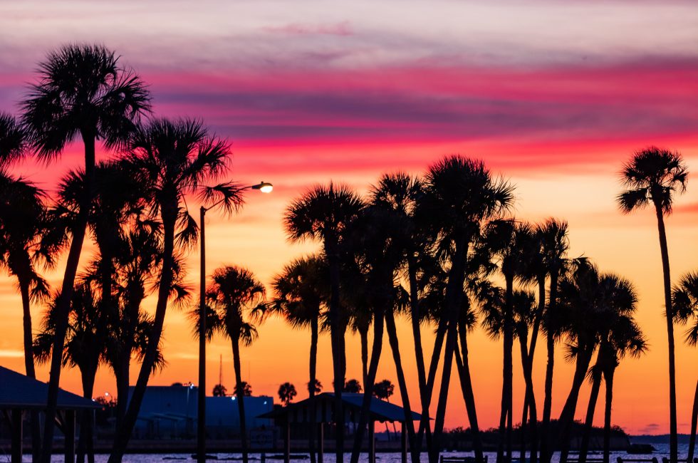 Palm trees silhouetted against vibrant sunset sky.